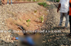 Mangaluru: Young man dies hit by train in Ullal